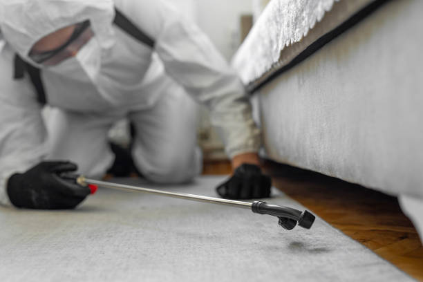 Professional Bed Bug Control technician working in Pleasureville, KY