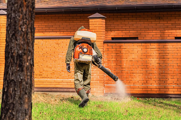 Trusted Bed Bug Control service in Pleasureville, KY - Nex Pest Control